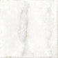 Xclusive Timeless vloer- en wandtegel decor White 20,5 x 20,5 cm